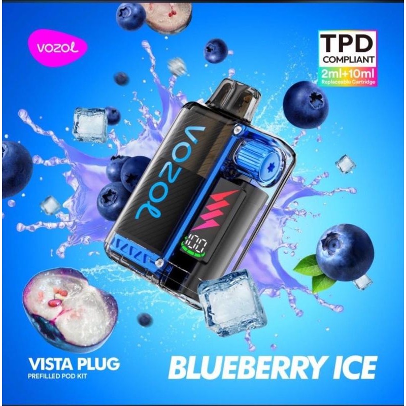 VOZOL VISTA PLUG - Starter Kit mit 10000 Zügen 20mg/ml